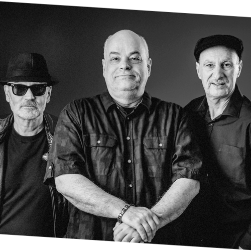 olemoehl-bluemoon-alligators-teaser-schraeg olemoehl-bluemoon-alligators-teaser-schraeg